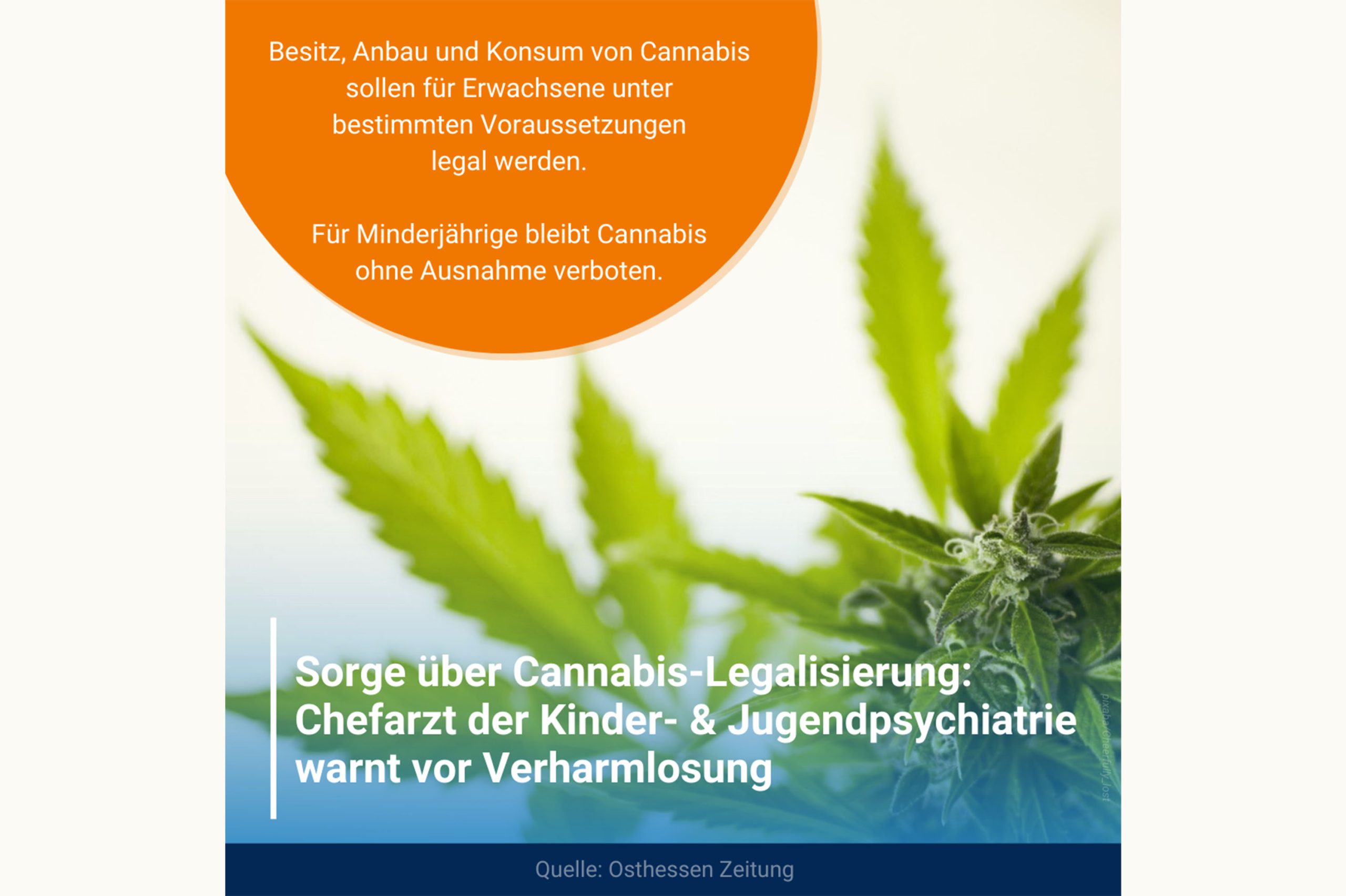Osthessen Zeitung: Sorge über Cannabis-Legalisierung: Chefarzt warnt vor Verharmlosung